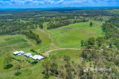 Livestock For Sale - QLD - Monduran - 4671 - 1347-ACRES, MODERN AMENITIES, RELIABLE WATER SUPPLY, & HIGH CARRYING CAPACITY  (Image 2)