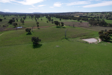 Lifestyle For Sale - NSW - Cootamundra - 2590 - Rare Opportunity on the Renowned Muttama Creek  (Image 2)