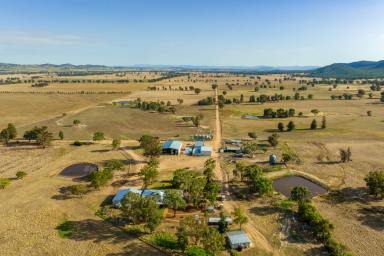 Mixed Farming For Sale - NSW - Warraderry - 2810 - 1,668 ACRES* MIXED CROPPING & GRAZING WITH EXCELLENT INFRASTRUCTURE  (Image 2)