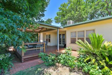 Horticulture For Sale - VIC - Colignan - 3494 - LARGE HOME - QUALITY CITRUS HOLDING  (Image 2)