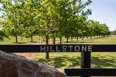 Lifestyle For Sale - VIC - Ruffy - 3666 - 'Hillstone' A Private Equine Sanctuary; A Stonemason's Masterpiece  (Image 2)