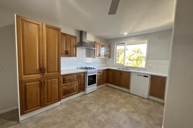 House For Lease - NSW - Raymond Terrace - 2324 - RENOVATED, SPACIOUS HOME WITH SOLAR!!!  (Image 2)