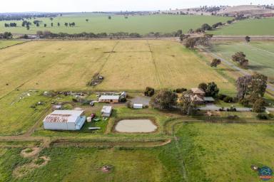 Farmlet Sold - VIC - Katandra West - 3634 - Large family home on 62 acres  (Image 2)