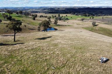 Lifestyle For Sale - NSW - Taylors Flat - 2586 - 101ACRES* - WEEKENDER – POWER – BUILDING ENT - CREEKFRONTAGE !  (Image 2)