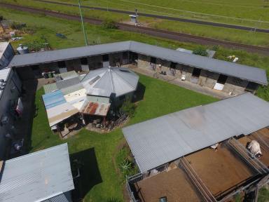Livestock For Sale - NSW - Casino - 2470 - THE STABLES  (Image 2)