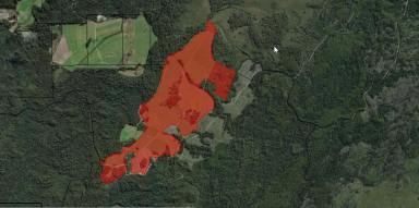 Livestock For Sale - TAS - Lileah - 7330 - "Gibson Plains" 226.1 Hectare beef/runoff property.  (Image 2)
