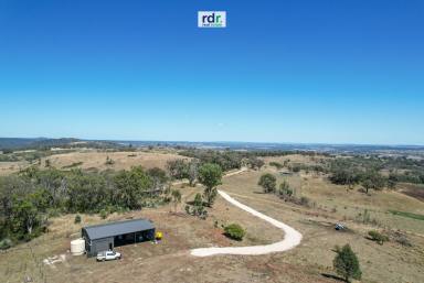 Mixed Farming For Sale - NSW - Inverell - 2360 - WIDE OPEN SPACES  (Image 2)