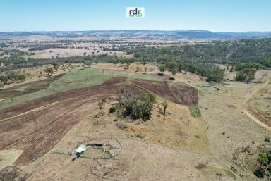 Mixed Farming For Sale - NSW - Inverell - 2360 - WIDE OPEN SPACES  (Image 2)