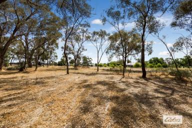 Residential Block For Sale - VIC - Newbridge - 3551 - 1,812sqm Township Block by the River  (Image 2)