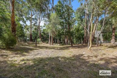 Residential Block For Sale - VIC - Halls Gap - 3381 - Building Block In Quiet Bush Setting  (Image 2)