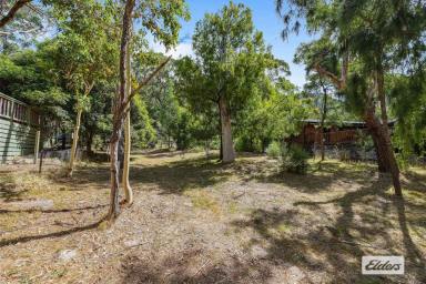 Residential Block For Sale - VIC - Halls Gap - 3381 - Building Block In Quiet Bush Setting  (Image 2)