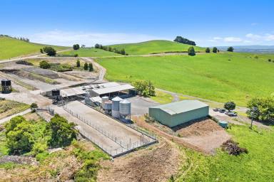 Dairy For Sale - VIC - Poowong - 3988 - Large Dairy Operation - Turn-Key  (Image 2)