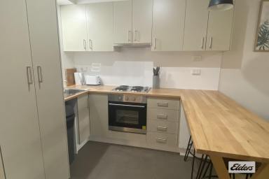 Unit For Lease - NSW - Ulmarra - 2462 - FURNISHED 2 BEDROOM UNIT  (Image 2)