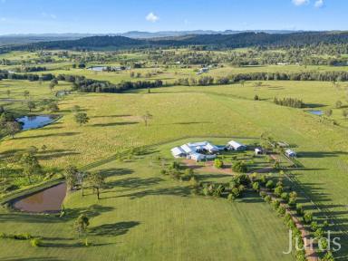 Lifestyle Sold - NSW - Lovedale - 2325 - SPRINGFIELD - HUNTER VALLEY  (Image 2)
