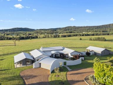 Lifestyle Sold - NSW - Lovedale - 2325 - SPRINGFIELD - HUNTER VALLEY  (Image 2)