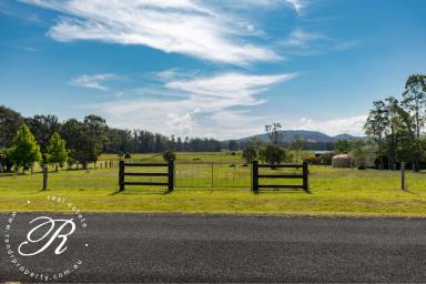 Residential Block For Sale - NSW - Darawank - 2428 - Build your Dream Home!  (Image 2)