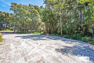 Residential Block For Sale - TAS - Strahan - 7468 - WANT TO BE A LOCAL?  (Image 2)