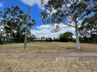 Residential Block For Sale - QLD - Dalby - 4405 - AS RARE AS HENS TEETH!  (Image 2)