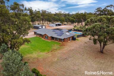 House Sold - NSW - Coolamon - 2701 - Own your Own Sanctuary  (Image 2)