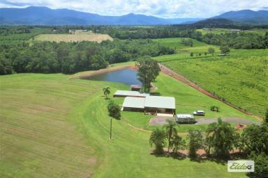 House For Sale - QLD - Dingo Pocket - 4854 - Large home, Huge Shed, Pool and Dam  (Image 2)