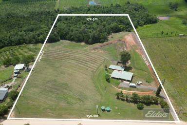 House For Sale - QLD - Dingo Pocket - 4854 - Large home, Huge Shed, Pool and Dam  (Image 2)