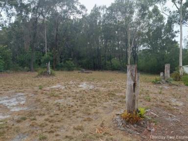 Residential Block For Sale - QLD - Russell Island - 4184 - 582m2 block on Sealed Road  (Image 2)