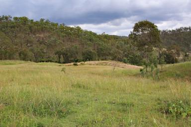 Other (Rural) Tender - QLD - Yarrol - 4630 - Burnett River Grazing Property "Twin Creeks"  (Image 2)