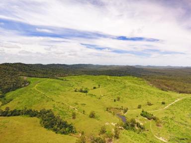 Other (Rural) For Sale - QLD - Yarrol - 4630 - Cattle Breeding with Additional Income  (Image 2)
