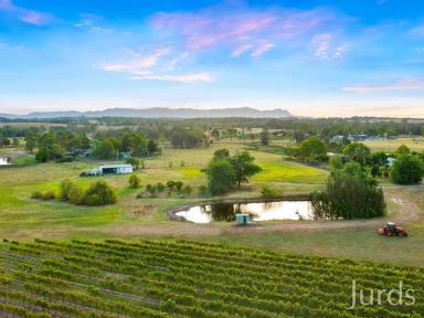 Viticulture For Sale - NSW - Lovedale - 2325 - STANLEIGH PARK  (Image 2)