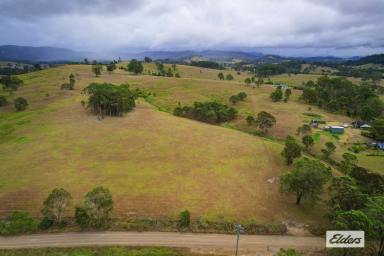 Other (Rural) Sold - NSW - Bunyah - 2429 - SITTING PRETTY  (Image 2)