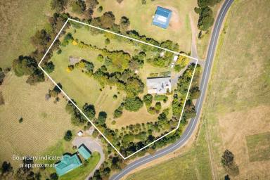 Acreage/Semi-rural Sold - NSW - Candelo - 2550 - Fabulous Lifestyle Property only minutes from Candelo Village  (Image 2)
