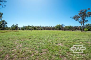 Residential Block Sold - NSW - Wellingrove - 2370 - Vacant Block  (Image 2)