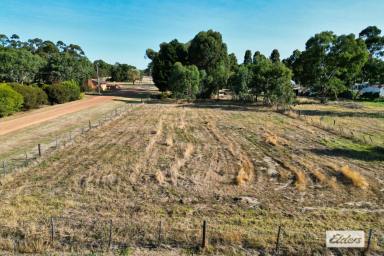 Residential Block Sold - VIC - Glenthompson - 3293 - Large township zoned block  (Image 2)