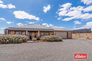 Other (Rural) Sold - SA - St Johns - 5373 - UNDER CONTRACT BY JEFF LIND  (Image 2)