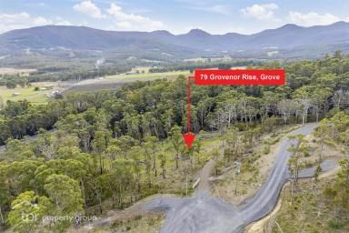 Residential Block For Sale - TAS - Grove - 7109 - Build Grand In Grove  (Image 2)