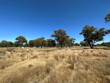 Residential Block For Sale - NSW - Rand - 2642 - "Mud Hut Block"  (Image 2)