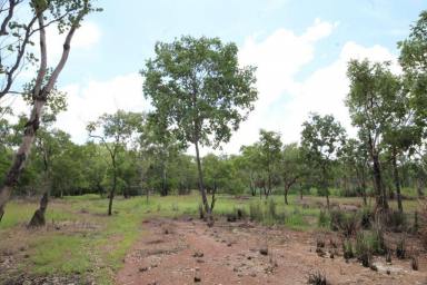 House Sold - NT - Adelaide River - 0846 - Freehold parcel good for horses and cattle grazing.  (Image 2)