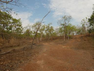 House Sold - NT - Adelaide River - 0846 - Freehold parcel good for horses and cattle grazing.  (Image 2)