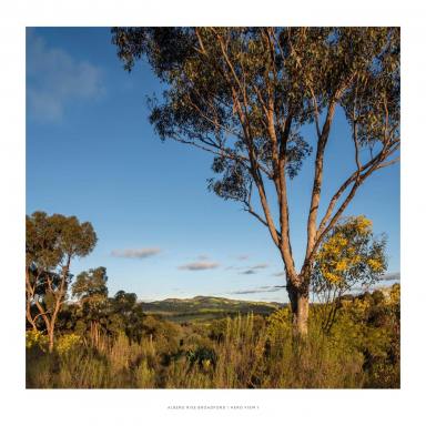Residential Block For Sale - VIC - Broadford - 3658 - ALBERO RISE - NEWEST TITLED LAND IN BROADFORD  (Image 2)