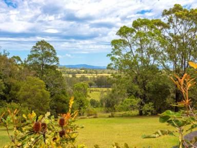 Acreage/Semi-rural Sold - NSW - Mitchells Island - 2430 - ELEVATION WITH COMMANDING RIVER VIEWS  (Image 2)