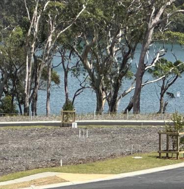 Residential Block Sold - NSW - Nords Wharf - 2281 - Build Your Dream Home in Idyllic Nords Wharf  (Image 2)