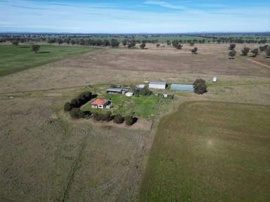 Mixed Farming Sold - NSW - Young - 2594 - Ideal Tree Change Or Bolt On Acquisition  (Image 2)
