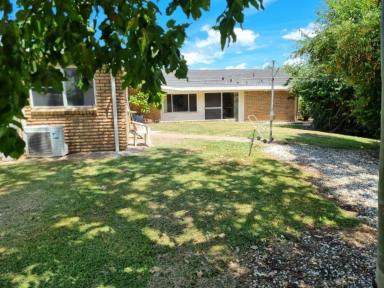 House For Sale - NSW - Moree - 2400 - LIFESTLYE BLOCK  (Image 2)