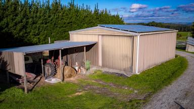 Residential Block Sold - TAS - Smithton - 7330 - Excellent Location with 9.429 HA's and a Large Shed with Power  (Image 2)