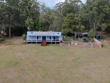 Lifestyle Sold - QLD - Palmtree - 4352 - Escape to Palmtree: 40 Acres of Rural Bliss with  2 homes, sheds , creek & timber plantation.  (Image 2)