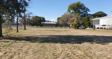 House For Sale - QLD - Dalby - 4405 - PRIME RESIDENTIAL PARCEL - POTENTIAL PLUS  (Image 2)