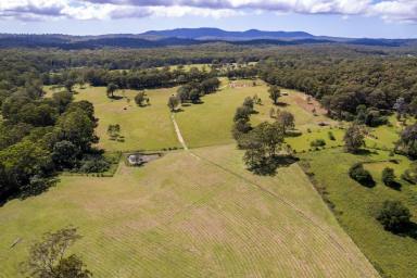 Lifestyle For Sale - NSW - Brooman - 2538 - TOOMBOOLOOMBAH                   
164 Acres Clyde River Frontage  (Image 2)