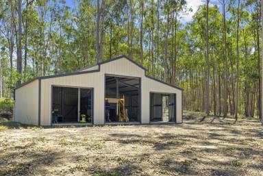Residential Block Sold - QLD - Curra - 4570 - 4.9 Acres + Large 3 Bay Shed + 2 Dams  (Image 2)