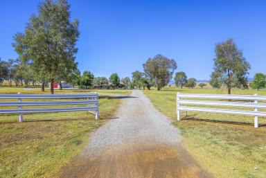 Acreage/Semi-rural Sold - NSW - Tamworth - 2340 - Retirement Dictates  (Image 2)