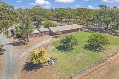 House Sold - VIC - Echuca - 3564 - Country Lifestyle Awaits  (Image 2)